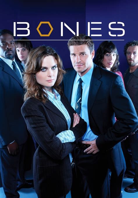 bones online latino temporada 1|los bones capitulo 6.